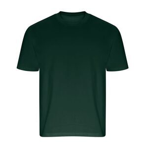 Ecologie Unisex Adult Arrow Heavy Oversized T-Shirt / Green